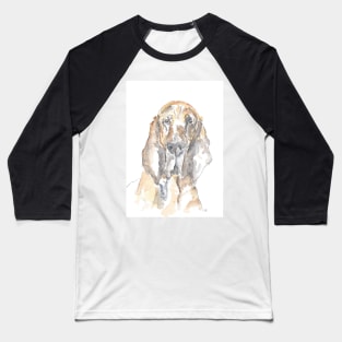 Bloodhound Baseball T-Shirt